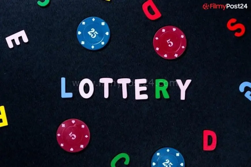 Why You Ought to All the time Examine Your Lottery Numbers