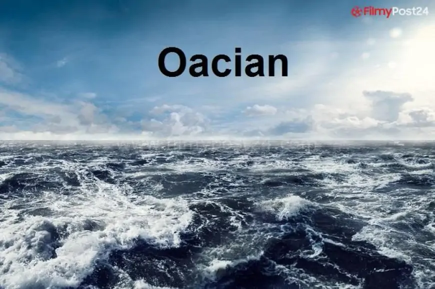 What Is An Oacian? What Is A Sort Of Sea Animal, And What Are The Traits?
