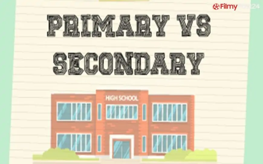 What is The Difference Between Secondary School And High School