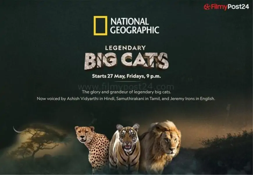 Nat Geo Wild to spread the roar with its all-new series ‘Legendary Big Cats’