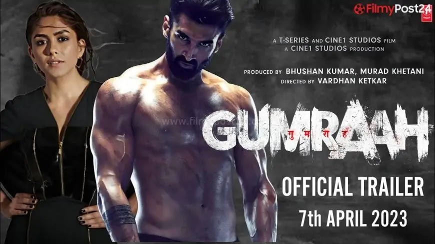 Gumraah Movie (2023) Budget, Hit Or Flop, Box Office Collection & Details