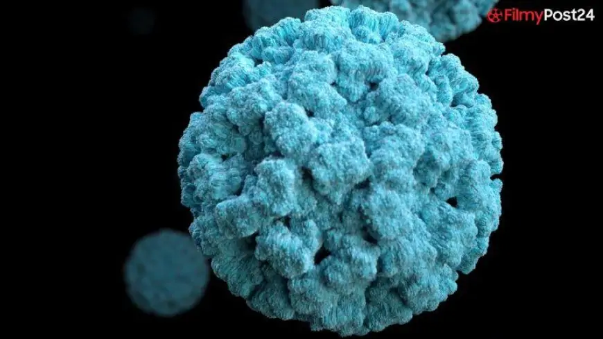 Langya Virus: What Is This New Langya Henipavirus? Here’s Everything You Need To Know