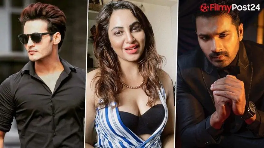 From Ravi Bhatia, Arshi Khan to Mrunal Jain; TV Stars Begin Second Innings on OTT Channels