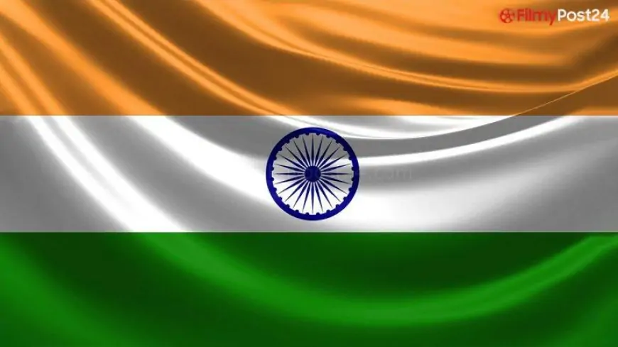 Tiranga Instagram DP for Har Ghar Tiranga Movement: Step-by-Step Guide To Change the Profile Picture on Photo-Sharing App for Independence Day 2022