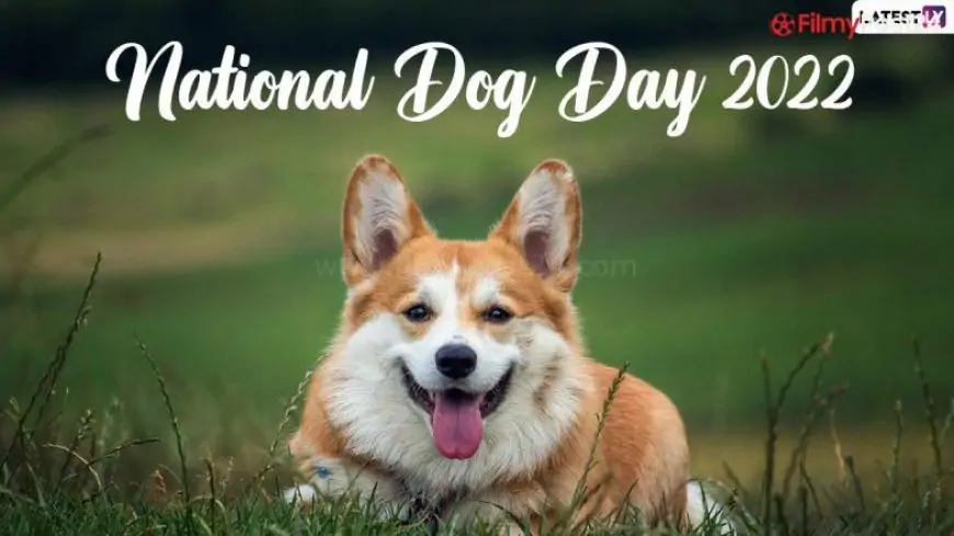 National Dog Day 2022: Four Times When Dogs Saved the Day, Watch Viral Videos of Furry Heroes!