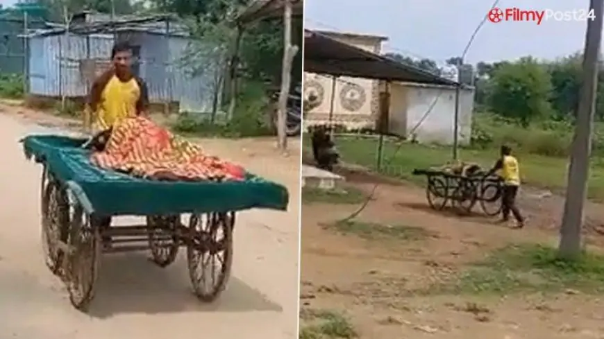 Madhya Pradesh Shocker: Man Carries Pregnant Wife to Hospital on Pushing Cart Due to Unavailability of Ambulance in Damoh (Watch Video)