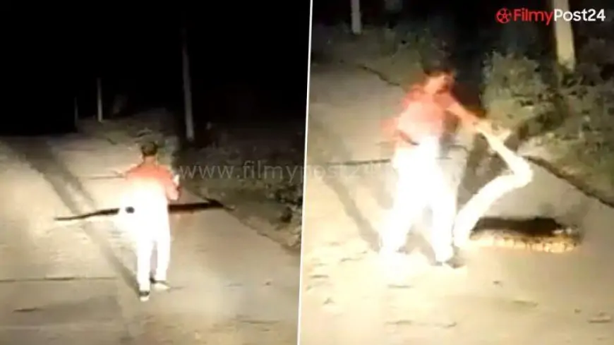 Man Fearlessly Picks Up Large Snake By Its Tail and Moves The Reptile Off Road With Bare Hands; Viral Video Catches Netizens' Attention
