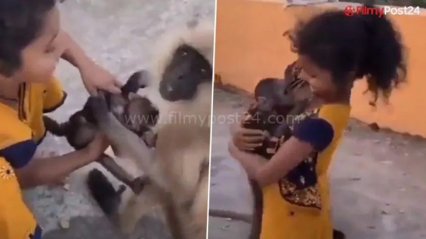 Little Girl Tries to Get Preserve of Little one Monkey Clinging To Its Mother; Earlier Video Goes Viral As soon as more, Leaving Netizens Irked