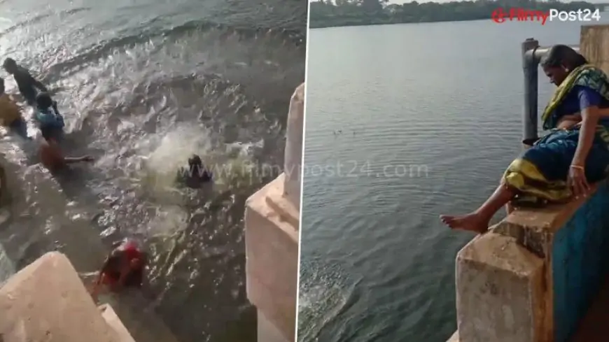 Saree-Clad Woman Makes 'Picture Perfect' Dive Into Tamraparni River in Tamil Nadu, Video Goes Viral