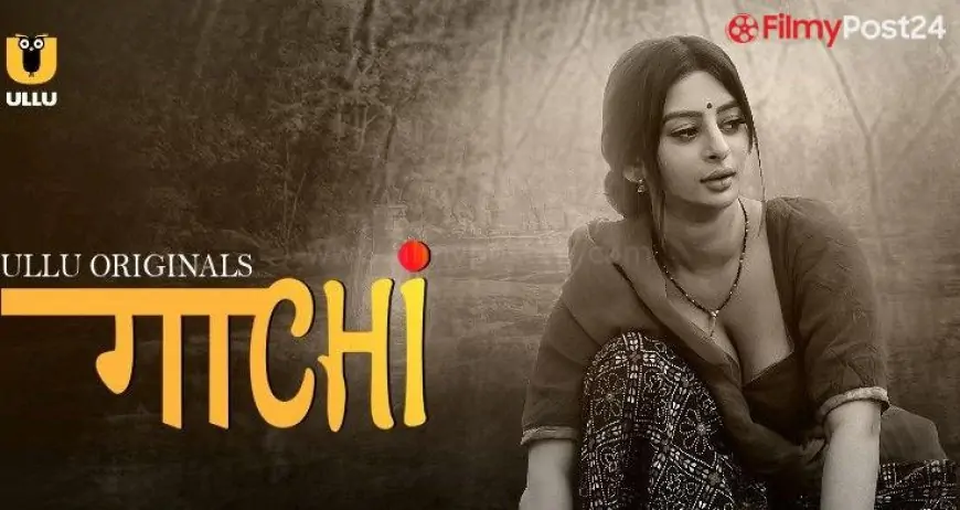 Gaachi (Hindi Web Series) – All Seasons, Episodes and Cast