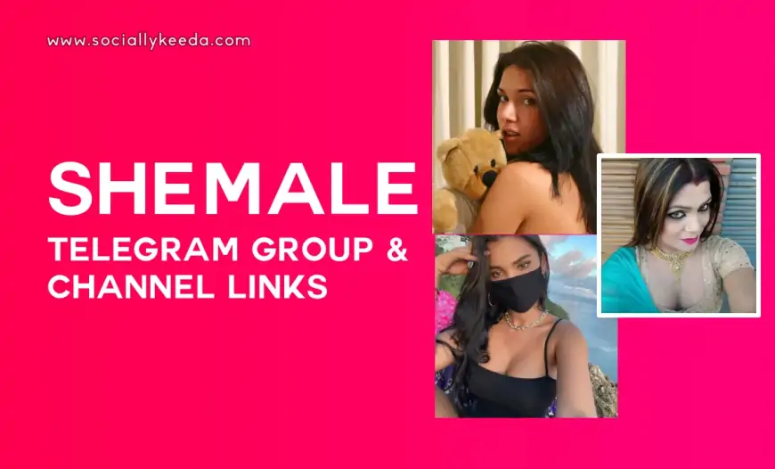 Shemale Telegram Group & Channel Links 2025