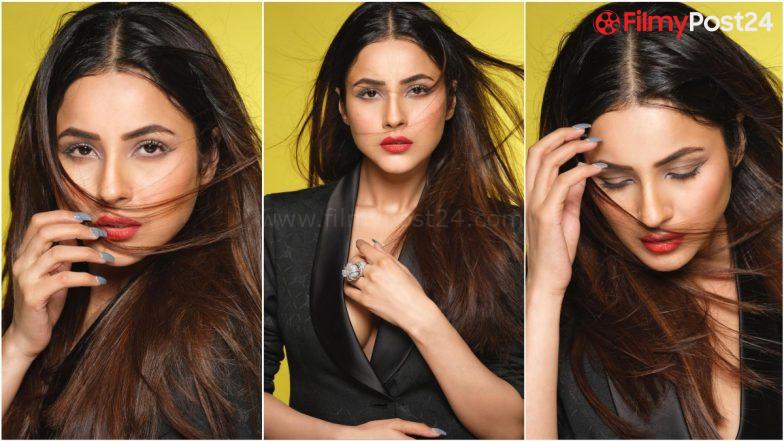 Shehnaaz Gill Flaunts a Trace of Cleavage In Black Blazer for Dabboo Ratnani Photoshoot Photos