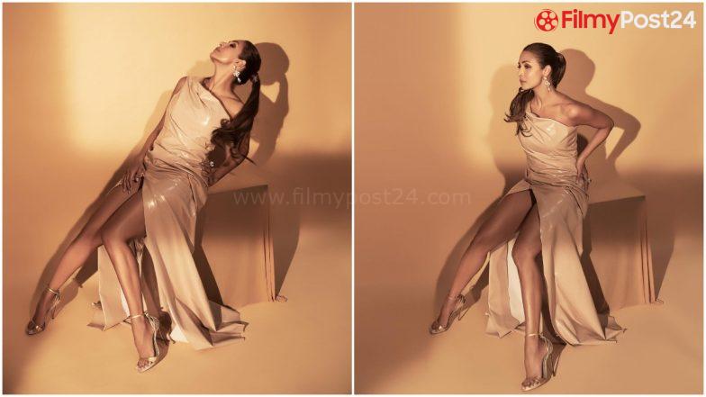 Malaika Arora Looks Like a Glam Goddess in Her Nude Coloured Gown and We’re Grasping for Breath (View Pics)