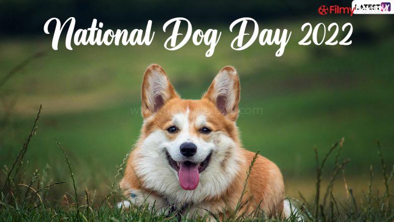National Dog Day 2022